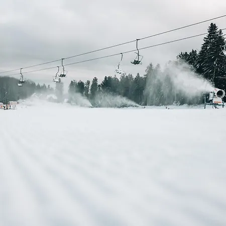 Bolfenk Pohorje - Forest Nest