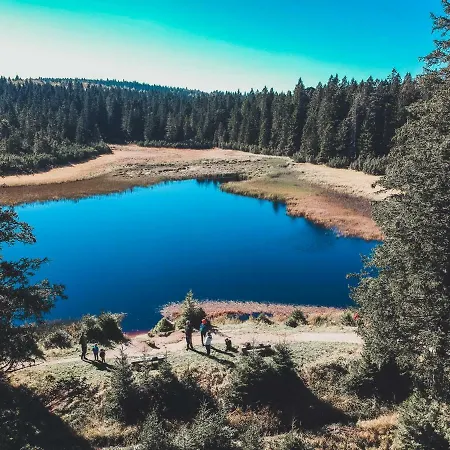 Apartman Bolfenk Pohorje - Forest Nest Hocko Pohorje