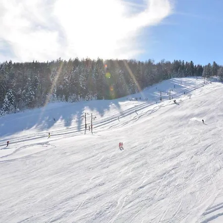 Lägenhet Bolfenk Pohorje - Forest Nest
