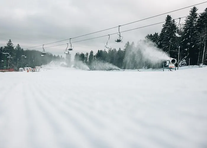 Bolfenk Pohorje - Forest Nest