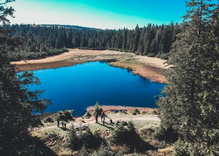 شقة Bolfenk Pohorje - Forest Nest Hočko Pohorje