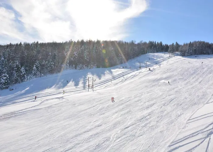 شقة Bolfenk Pohorje - Forest Nest